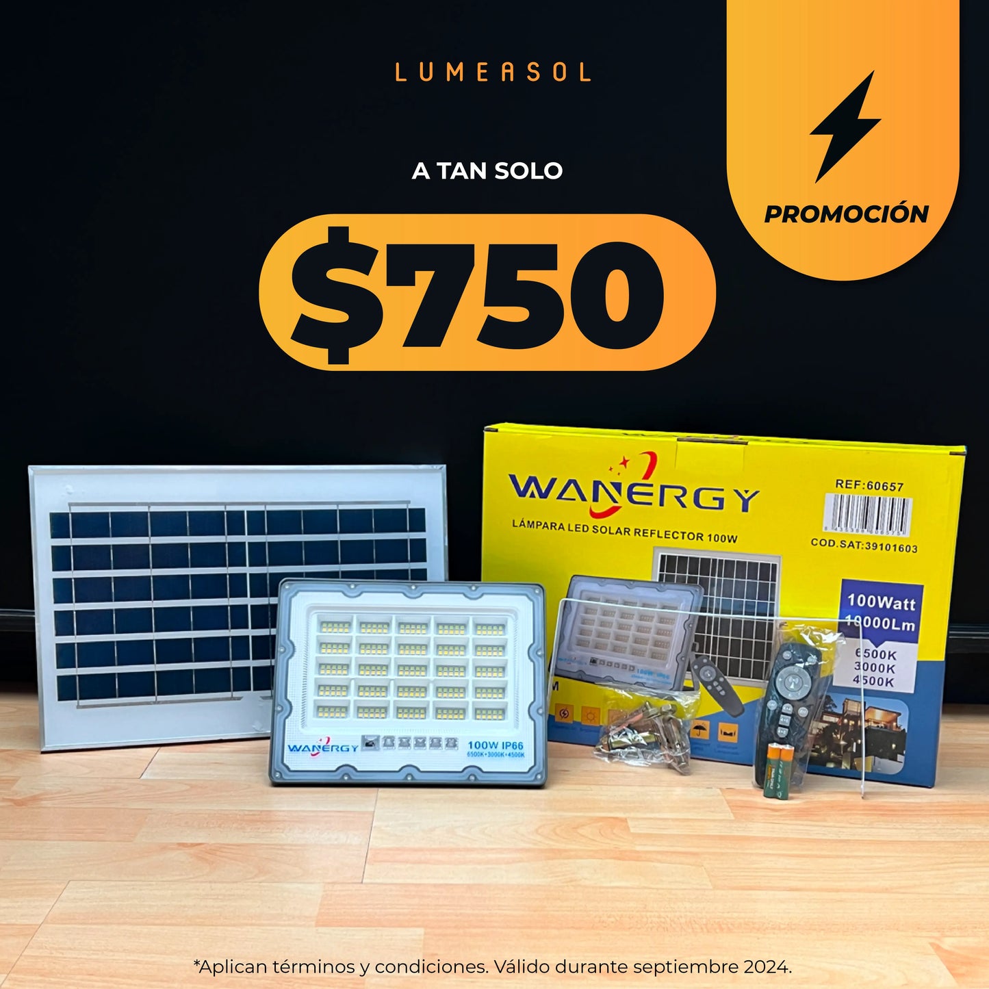 SEP LUMEASOL PROMOS_Mesa de trabajo 1 copia.webp__PID:0fd78397-8fa0-400c-941b-229a67d57866